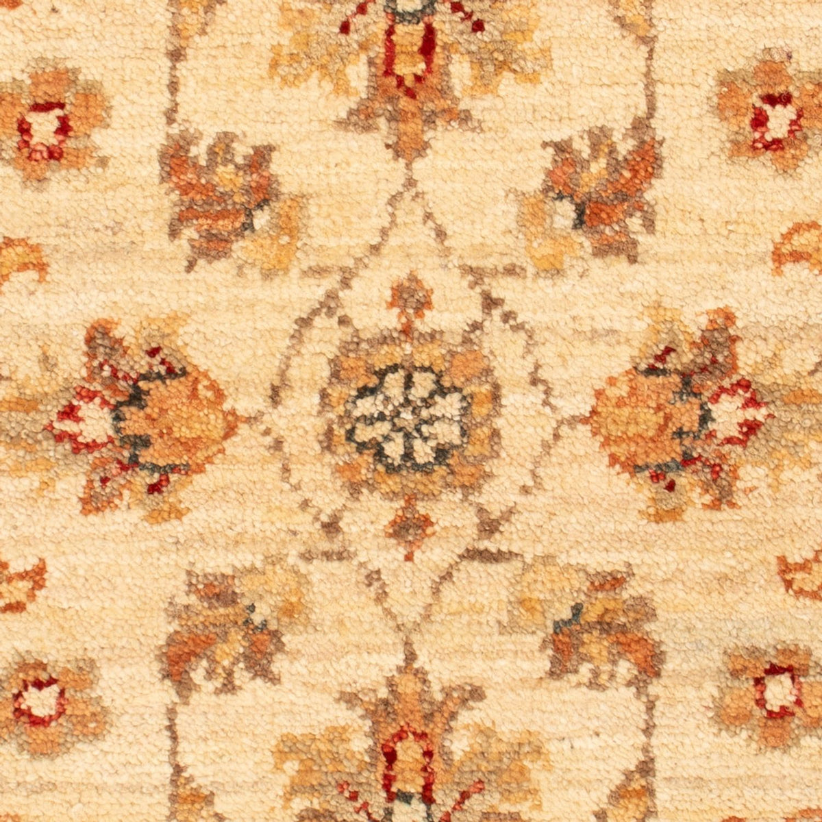 Alfombra Ziegler - 74 x 50 cm - beige