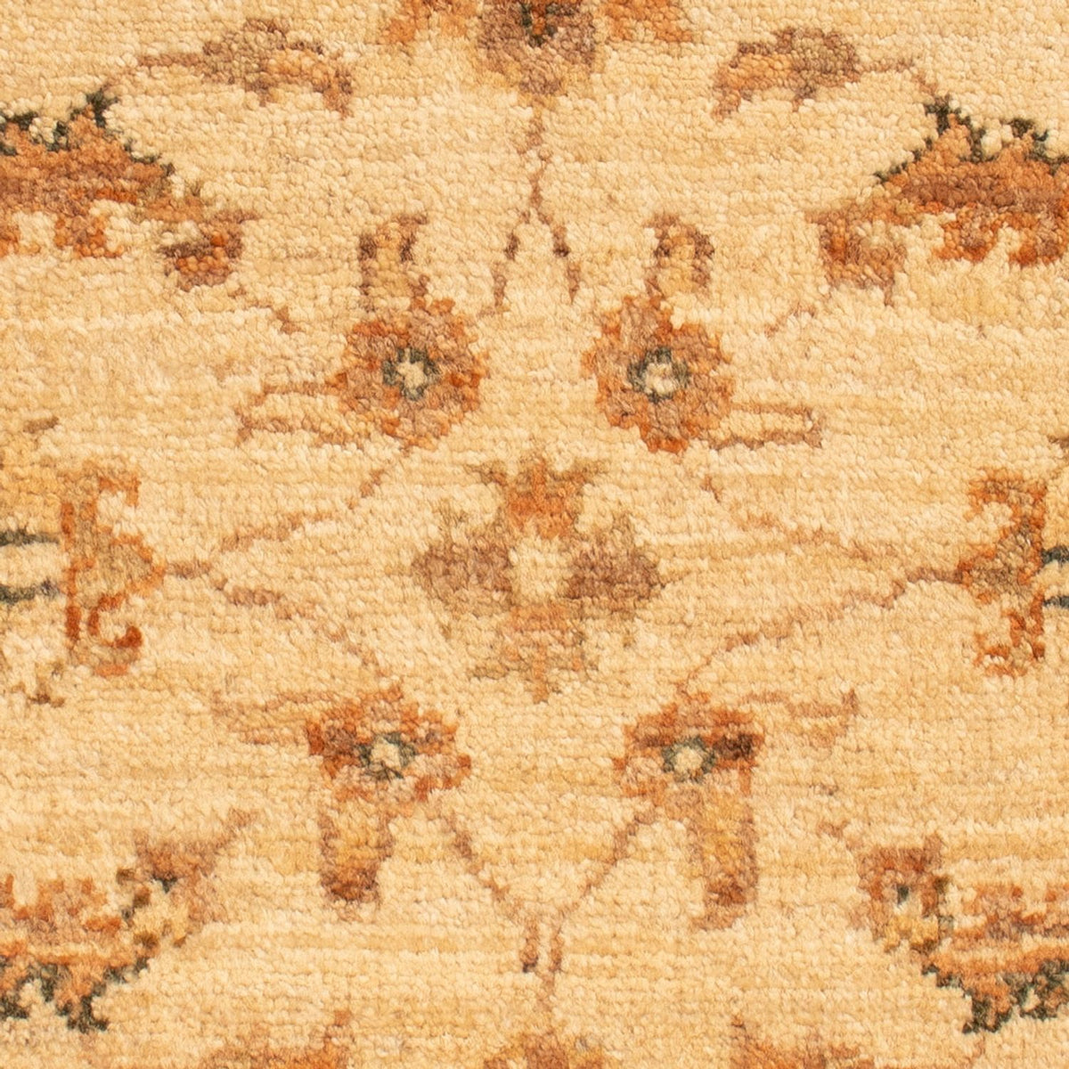 Alfombra Ziegler - 63 x 55 cm - beige