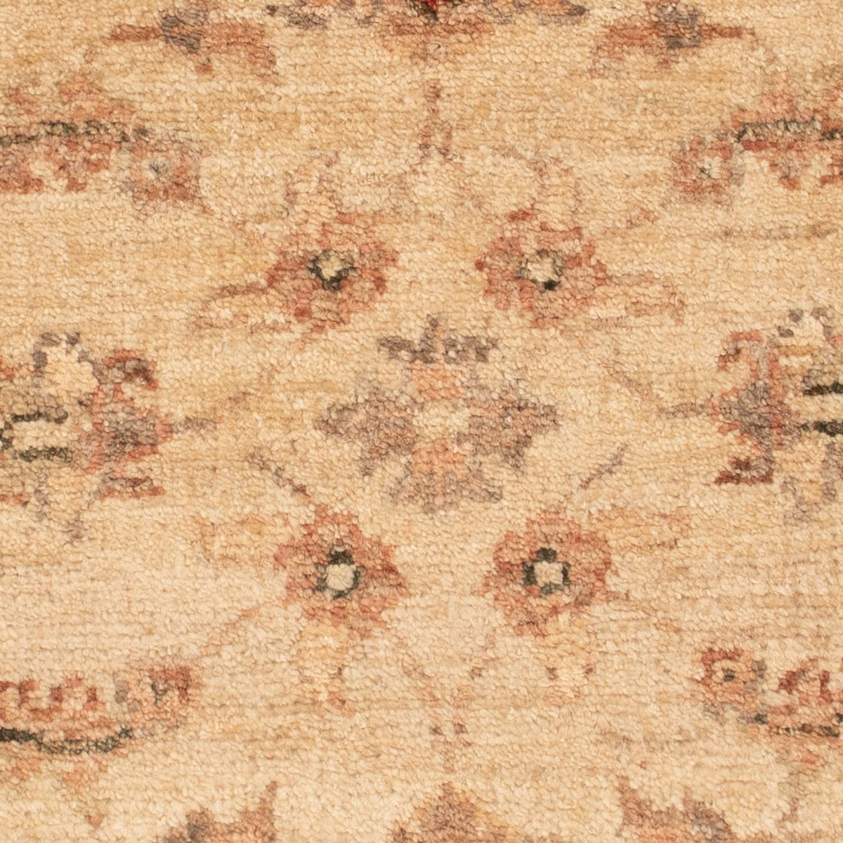 Alfombra Ziegler - 65 x 51 cm - beige