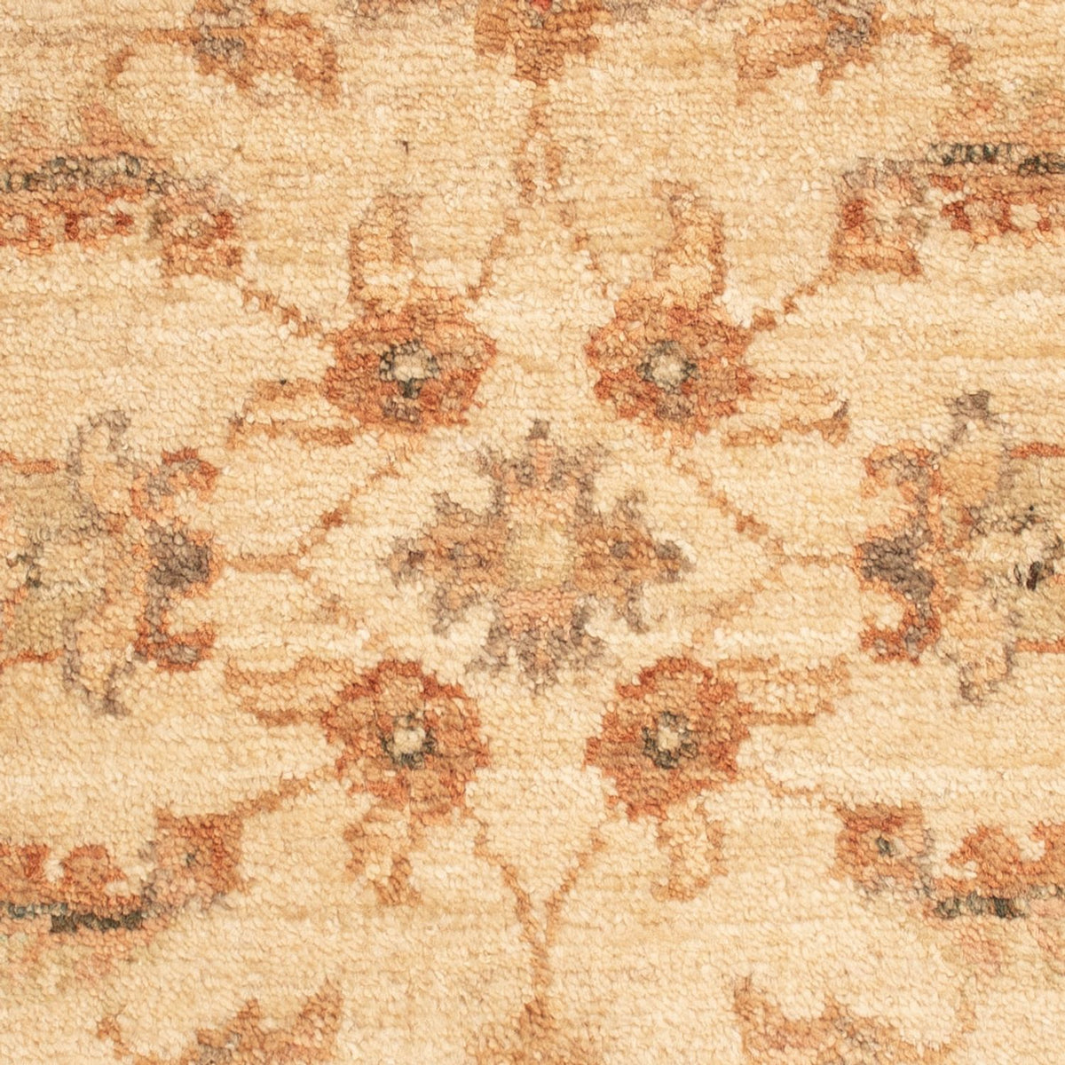 Alfombra Ziegler - 65 x 50 cm - beige