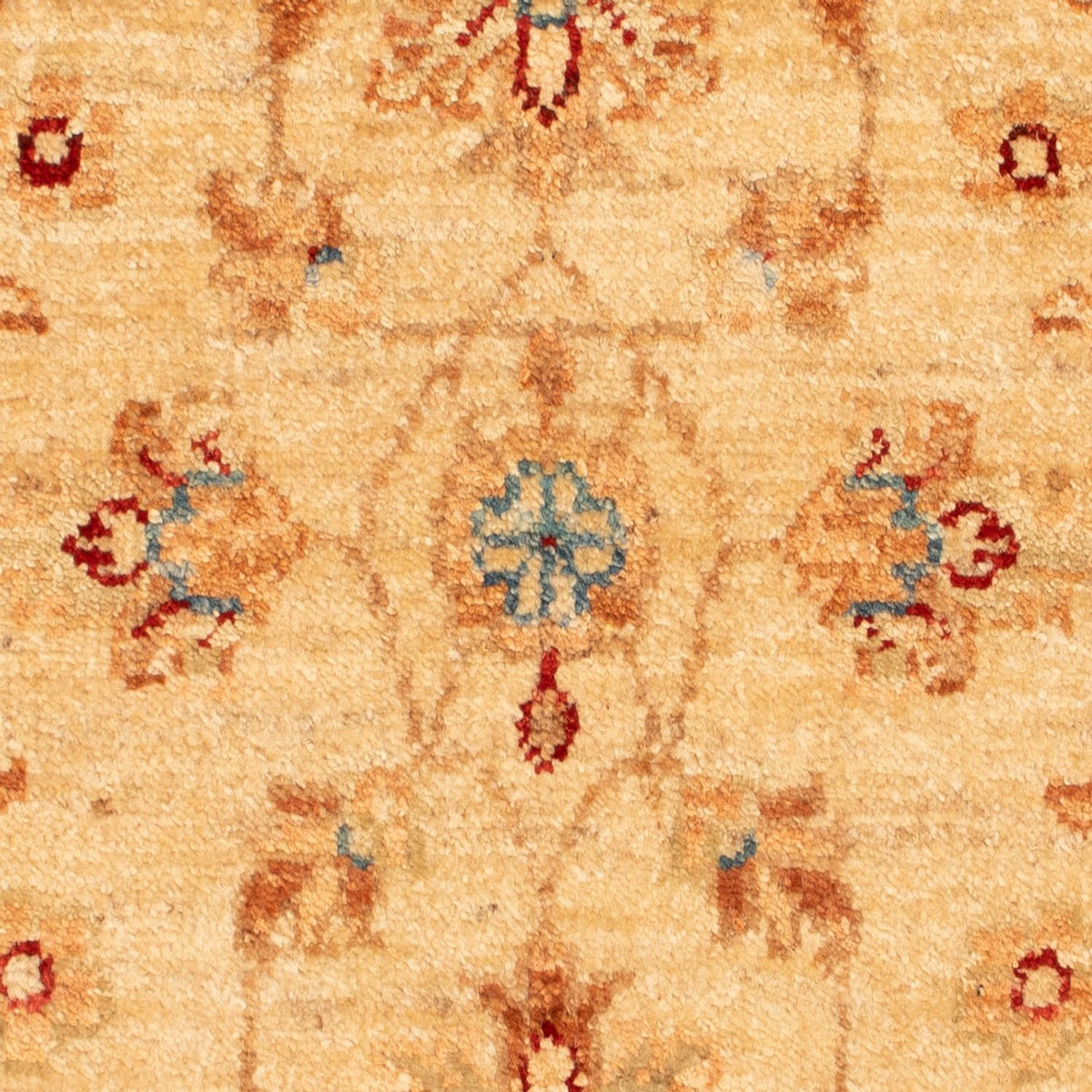 Alfombra Ziegler - 70 x 51 cm - beige