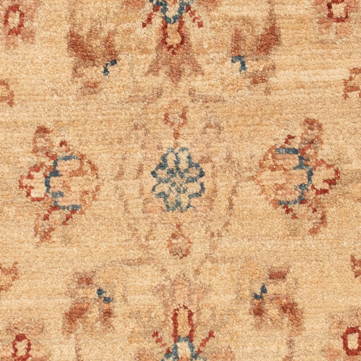 Alfombra Ziegler - 70 x 50 cm - beige