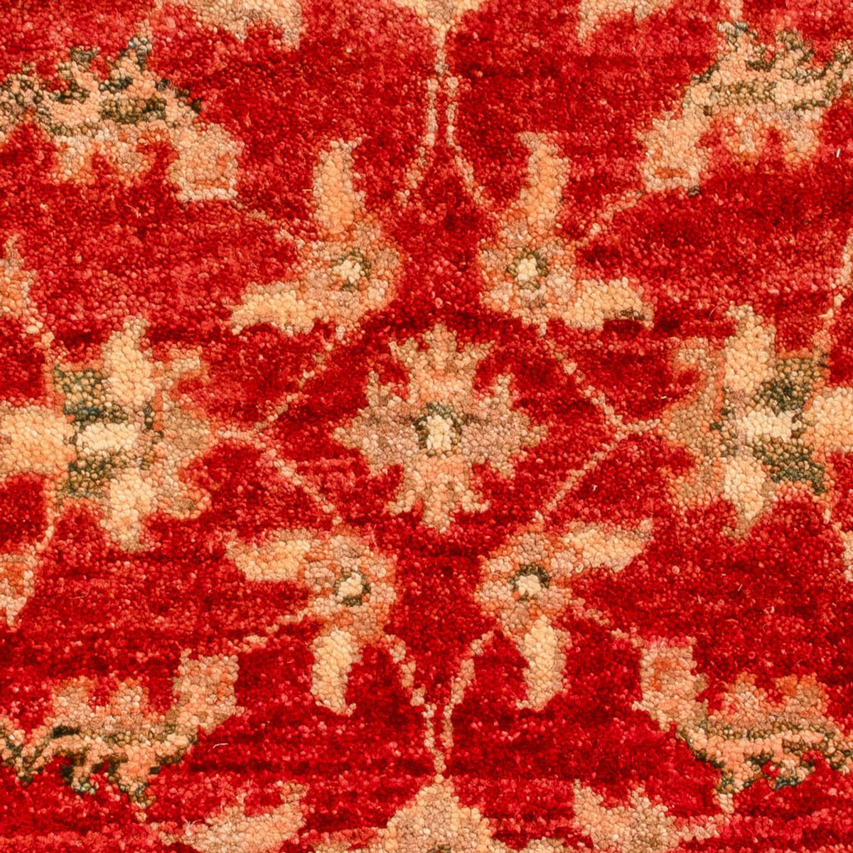 Alfombra Ziegler - 70 x 53 cm - rojo