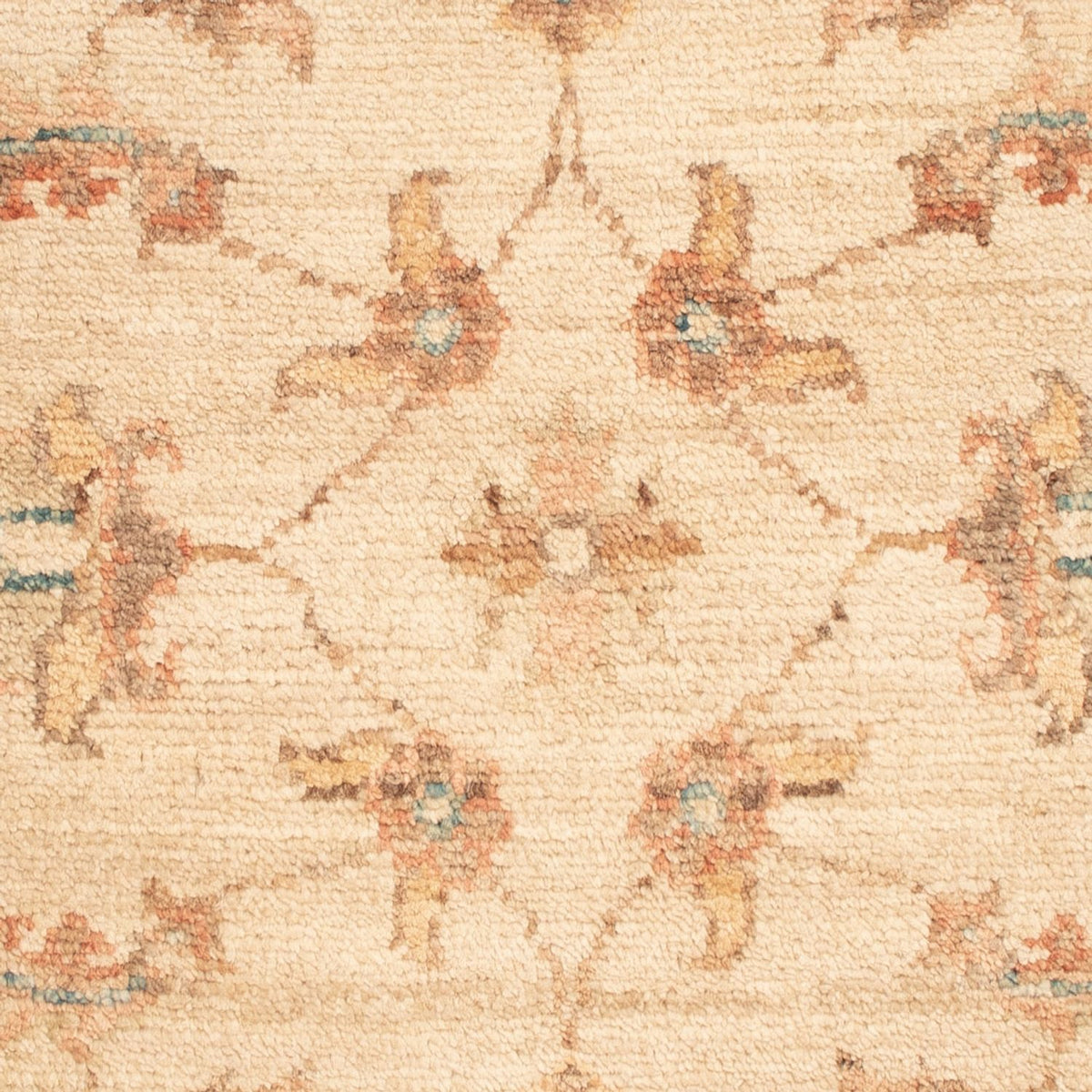 Alfombra Ziegler - 70 x 51 cm - beige