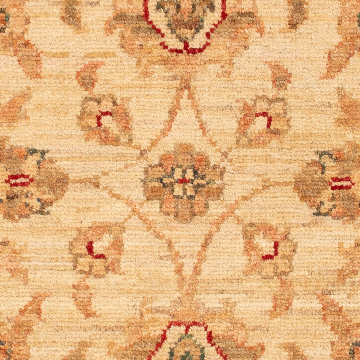 Alfombra Ziegler - 70 x 51 cm - beige