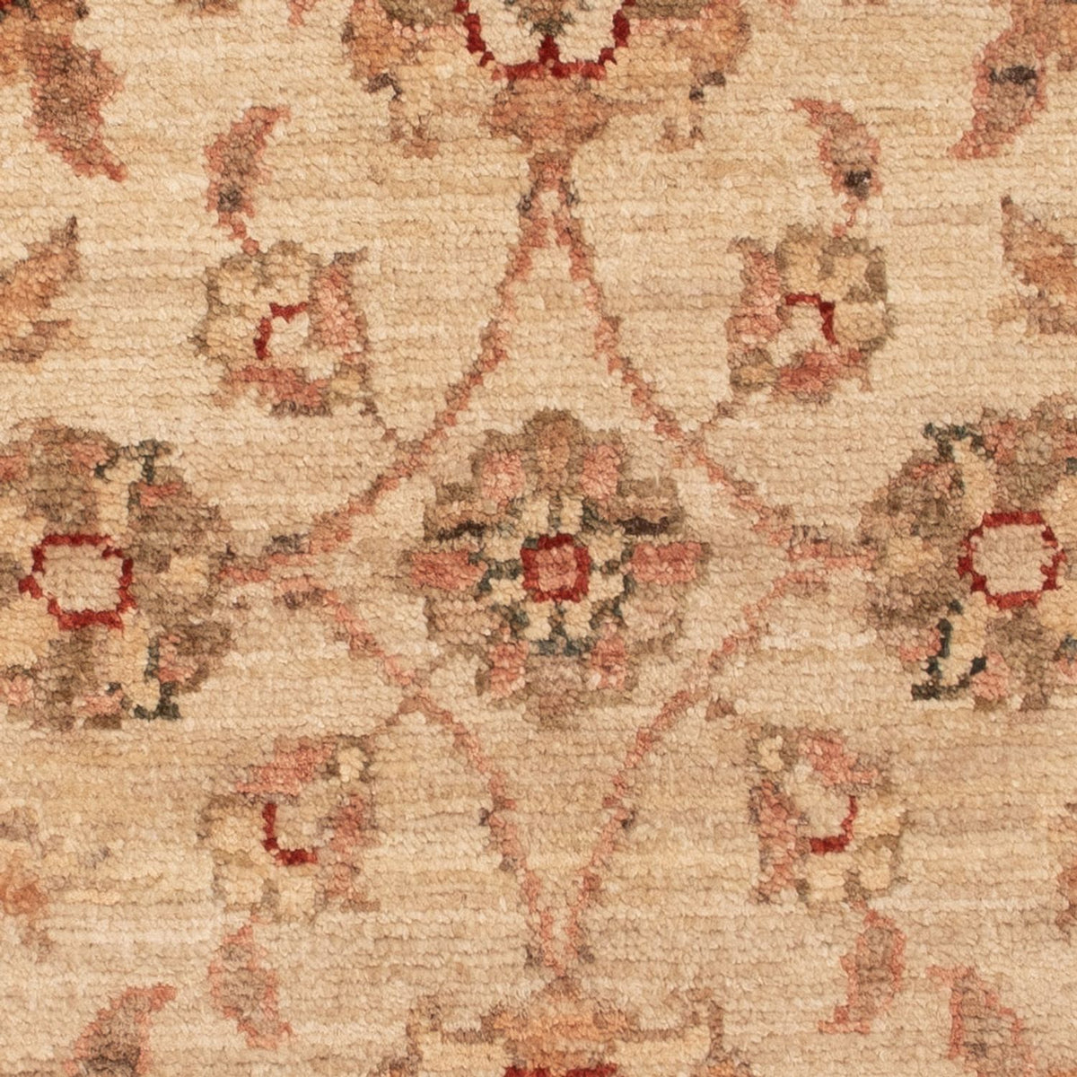 Alfombra Ziegler - 72 x 50 cm - beige
