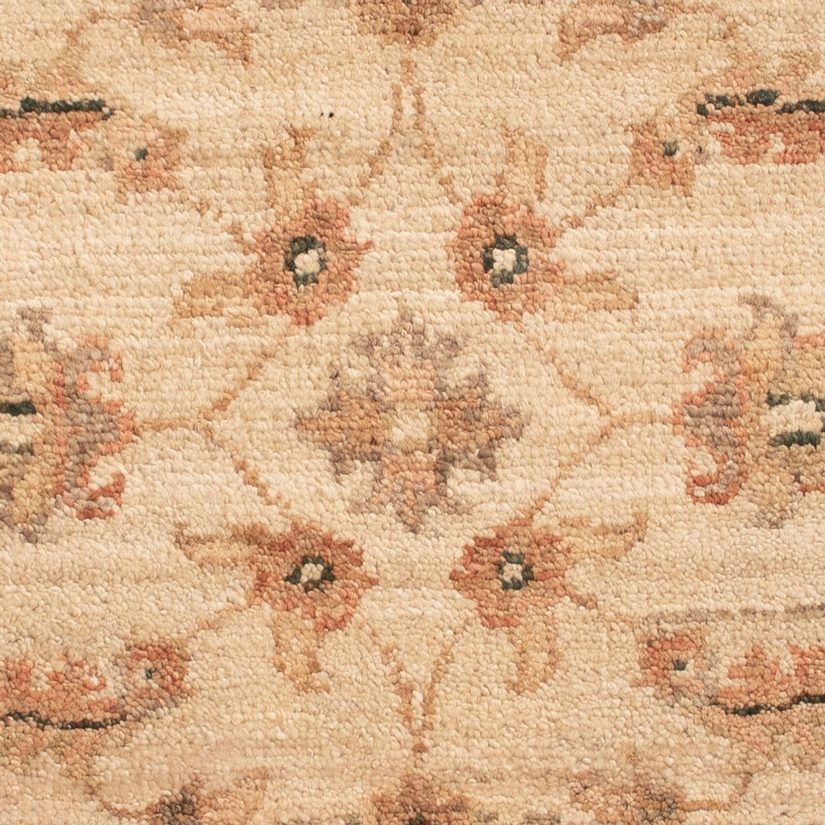 Alfombra Ziegler - 63 x 51 cm - beige