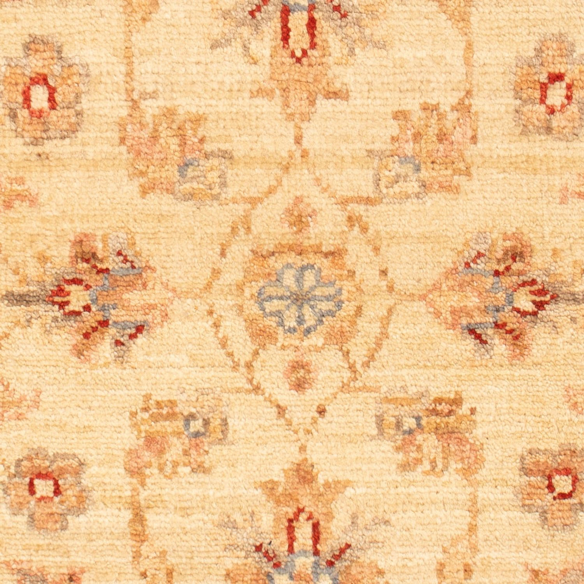 Alfombra Ziegler - 70 x 53 cm - beige