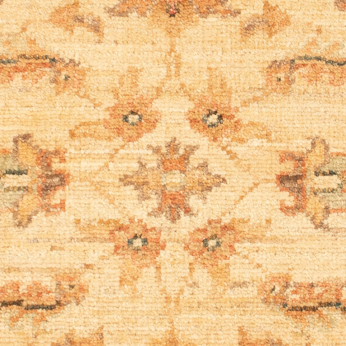 Alfombra Ziegler - 66 x 51 cm - beige
