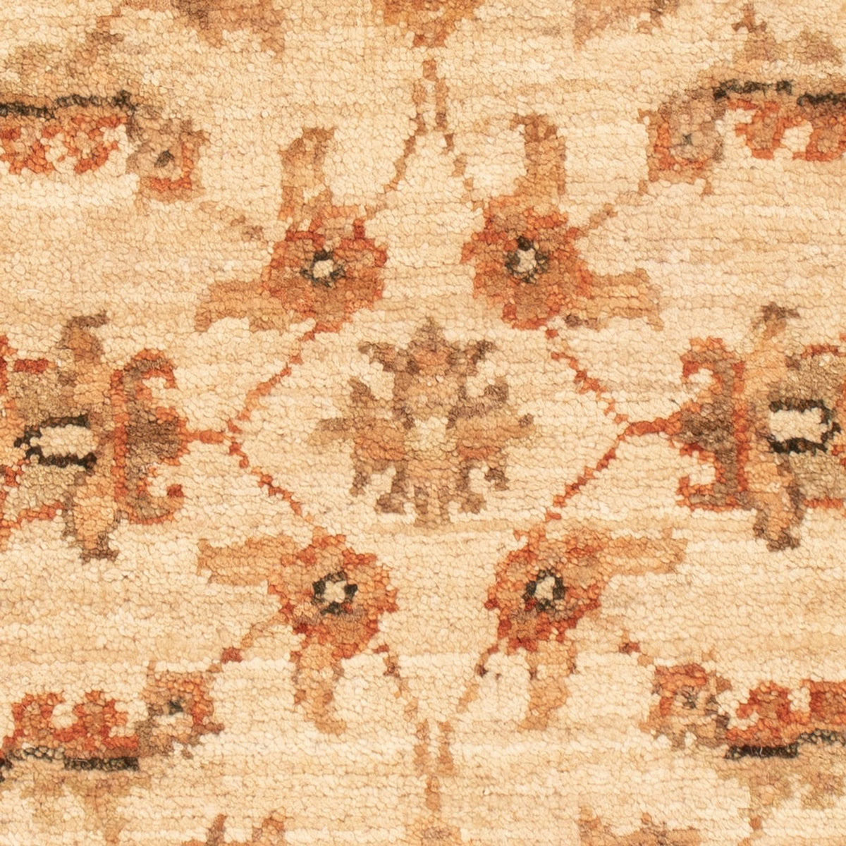 Alfombra Ziegler - 71 x 50 cm - beige