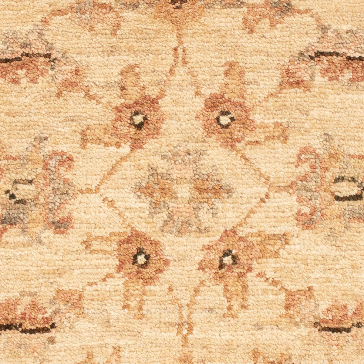 Alfombra Ziegler - 66 x 51 cm - beige