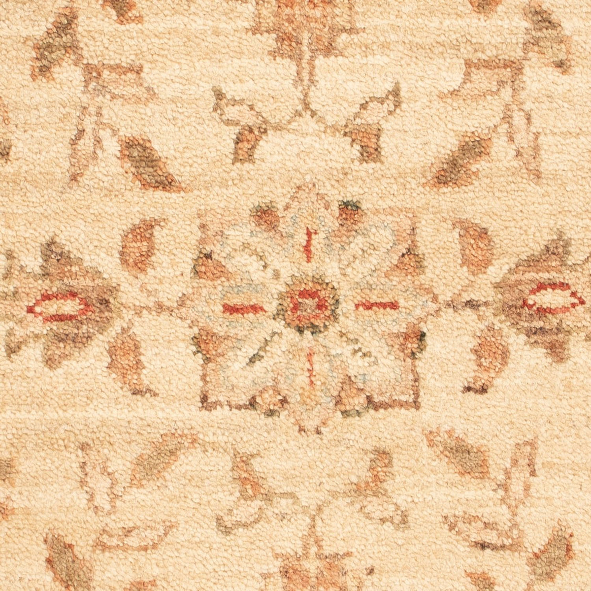 Alfombra Ziegler - 70 x 50 cm - beige