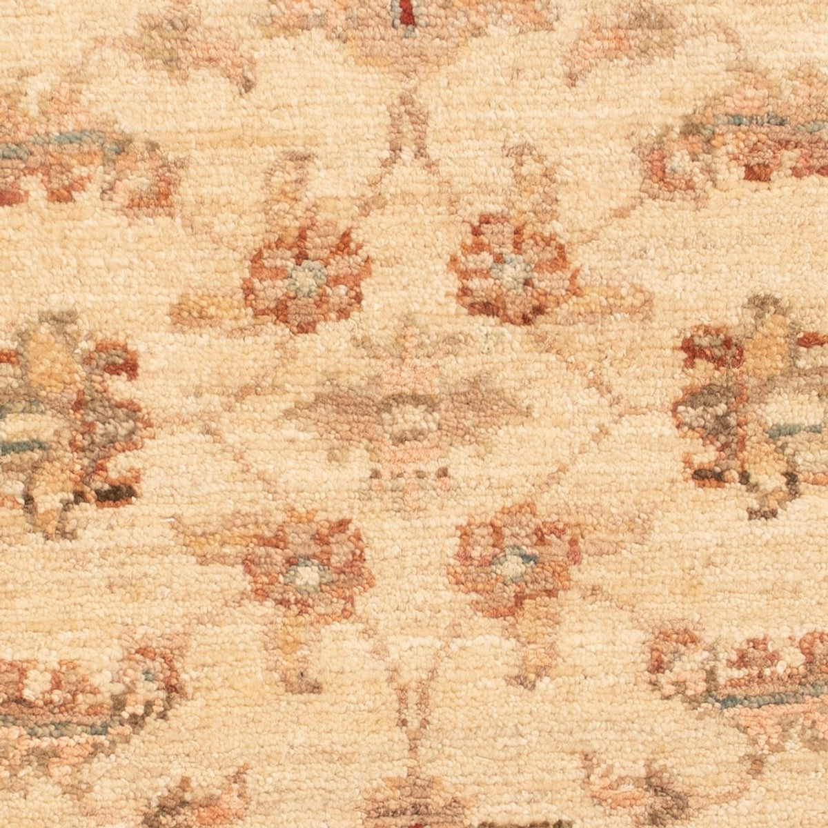Alfombra Ziegler - 64 x 50 cm - beige