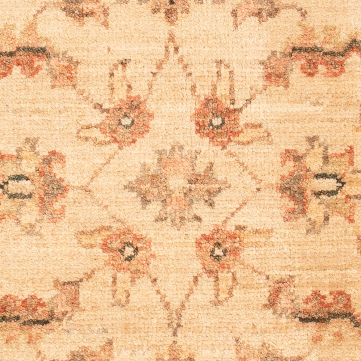 Alfombra Ziegler - 70 x 50 cm - beige