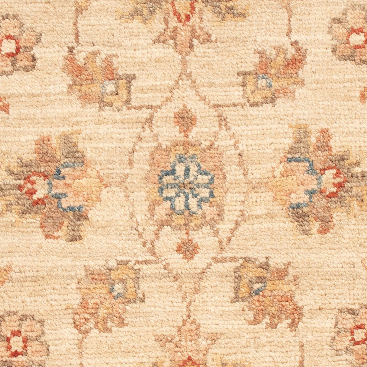 Alfombra Ziegler - 70 x 52 cm - beige