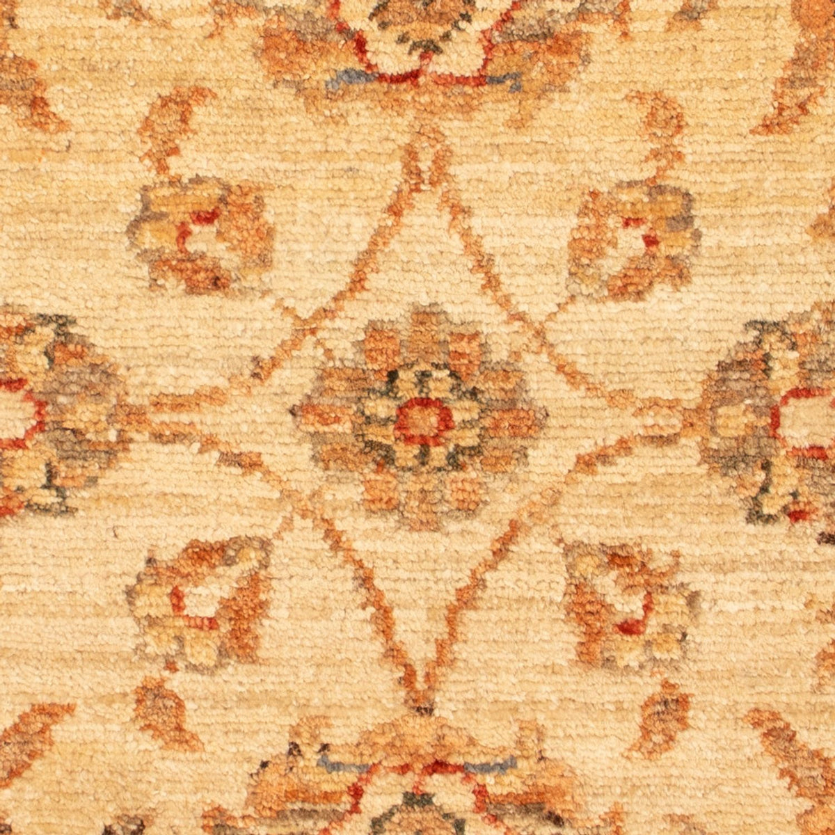 Alfombra Ziegler - 69 x 56 cm - beige