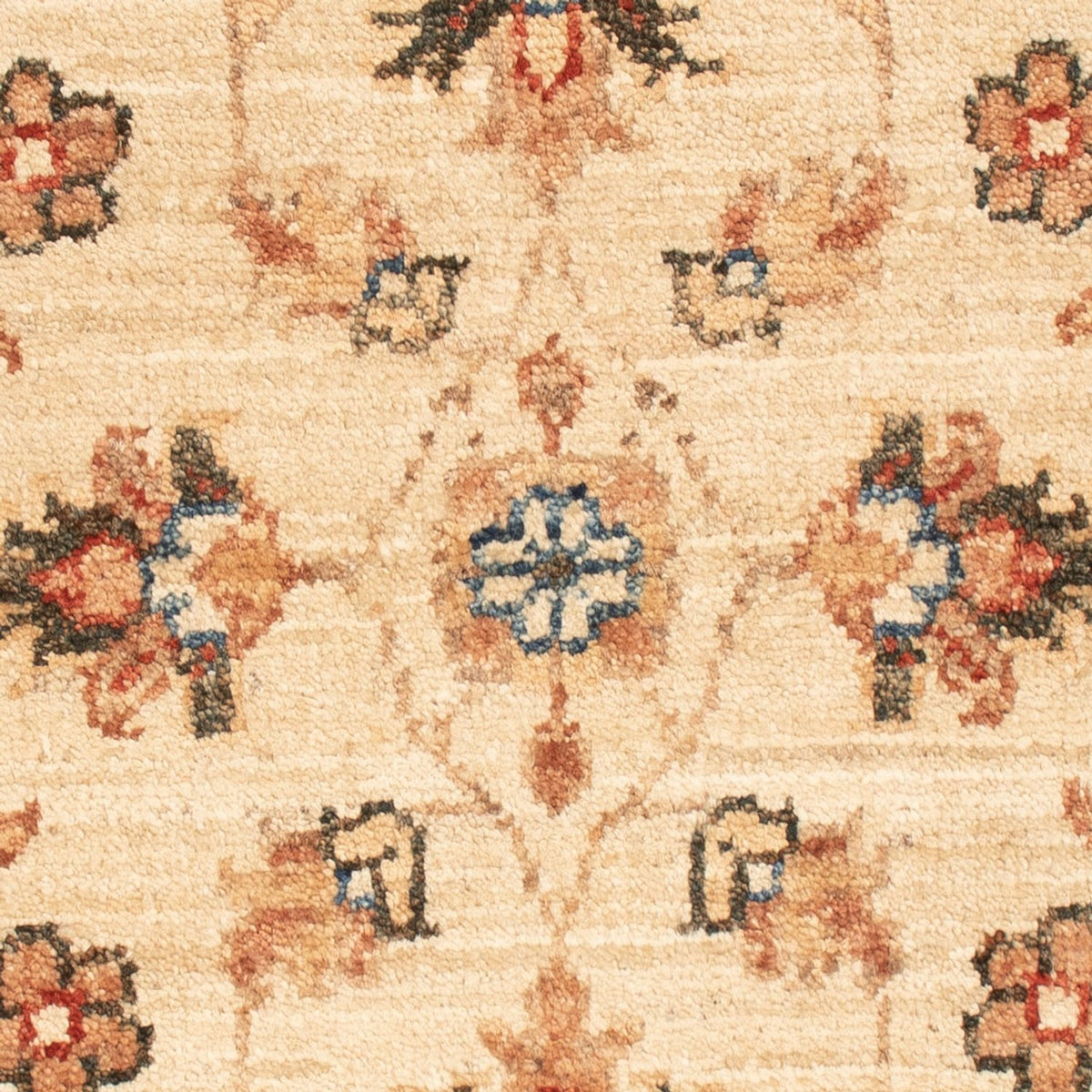 Alfombra Ziegler - 66 x 50 cm - beige