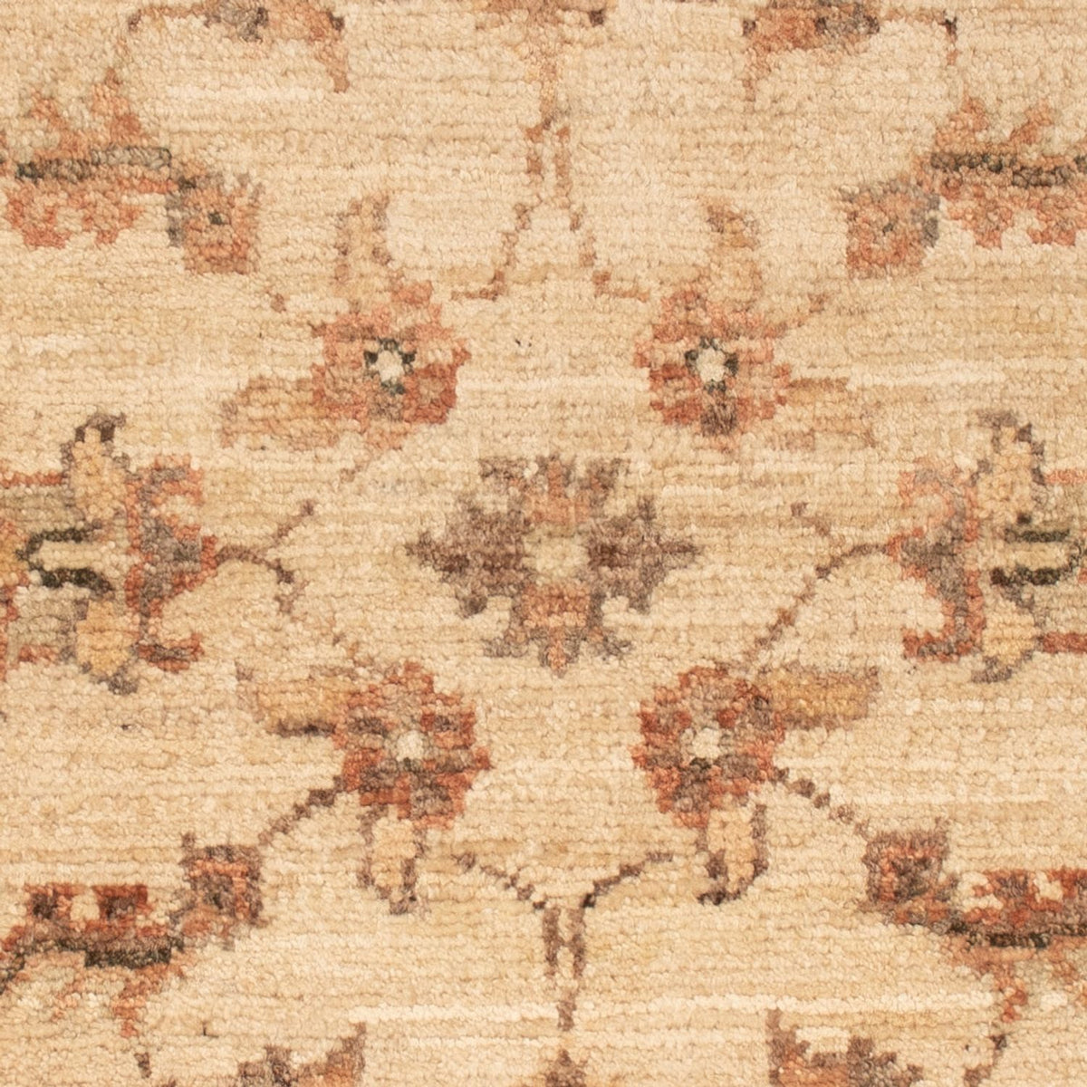 Alfombra Ziegler - 72 x 50 cm - beige