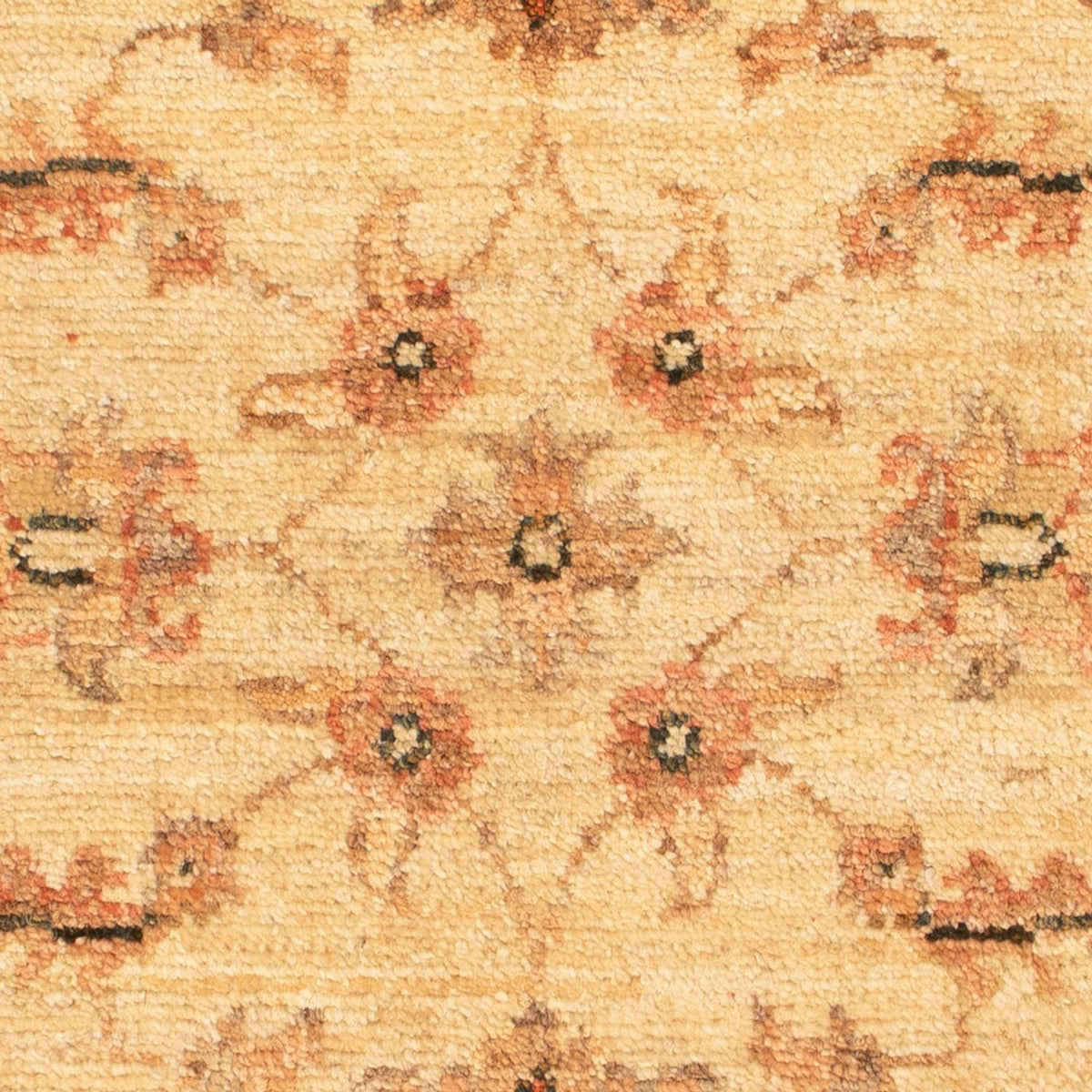 Alfombra Ziegler - 69 x 53 cm - beige