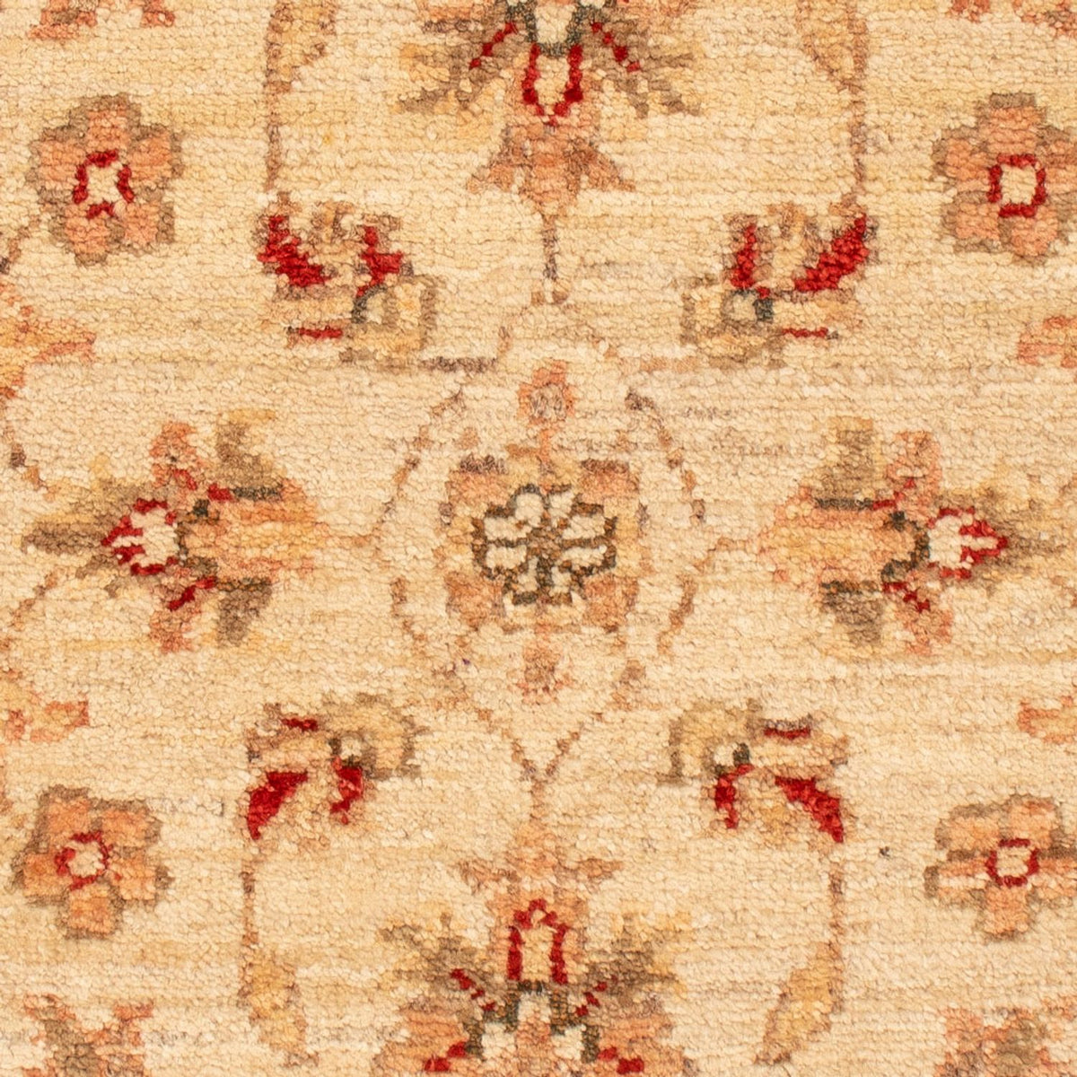 Alfombra Ziegler - 70 x 50 cm - beige