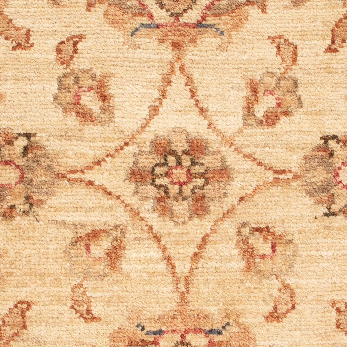 Alfombra Ziegler - 67 x 52 cm - beige