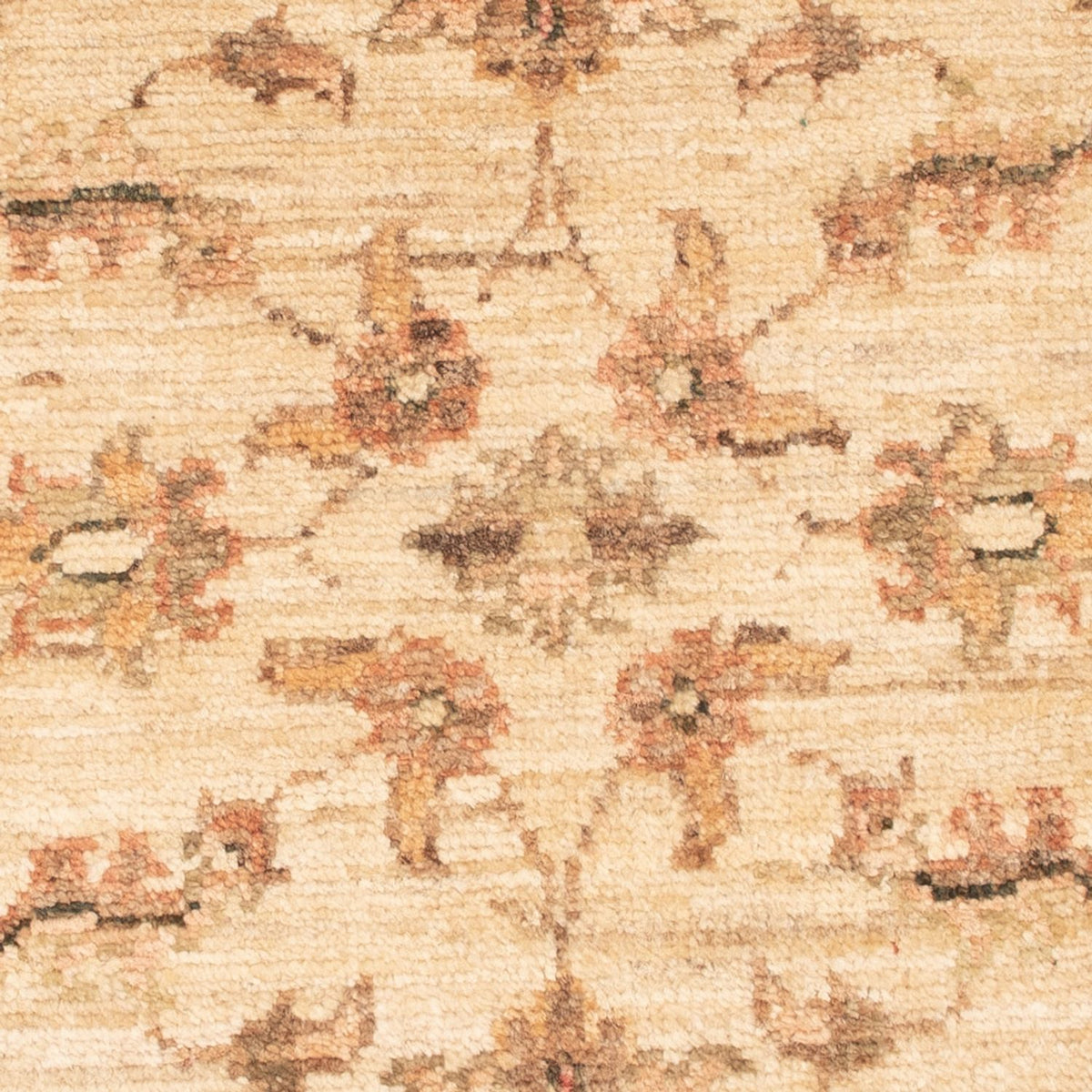 Alfombra Ziegler - 71 x 49 cm - beige
