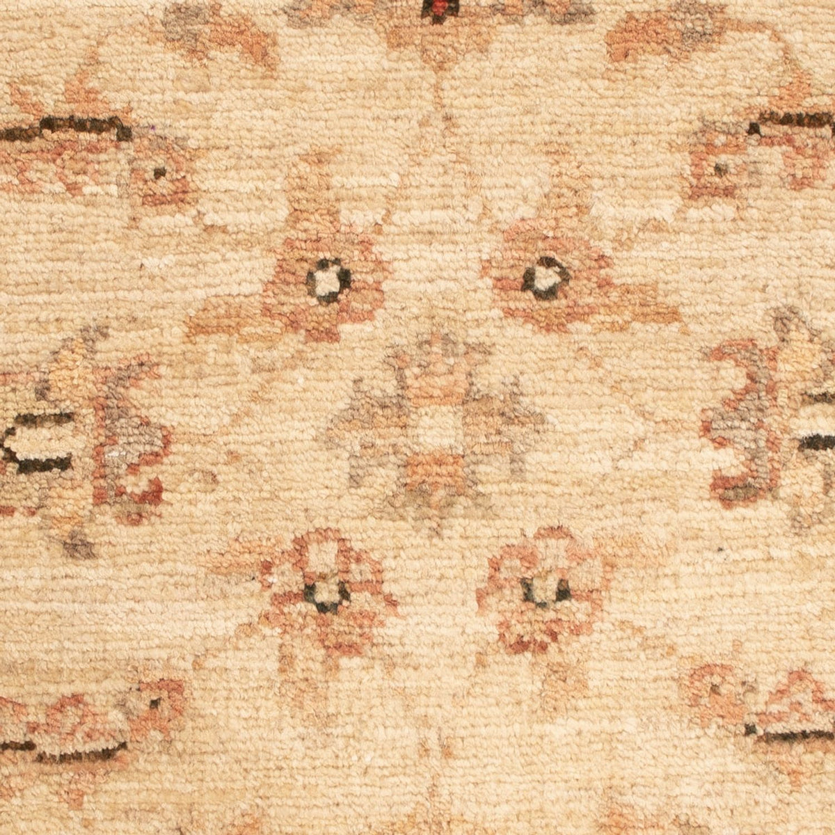 Alfombra Ziegler - 62 x 52 cm - beige
