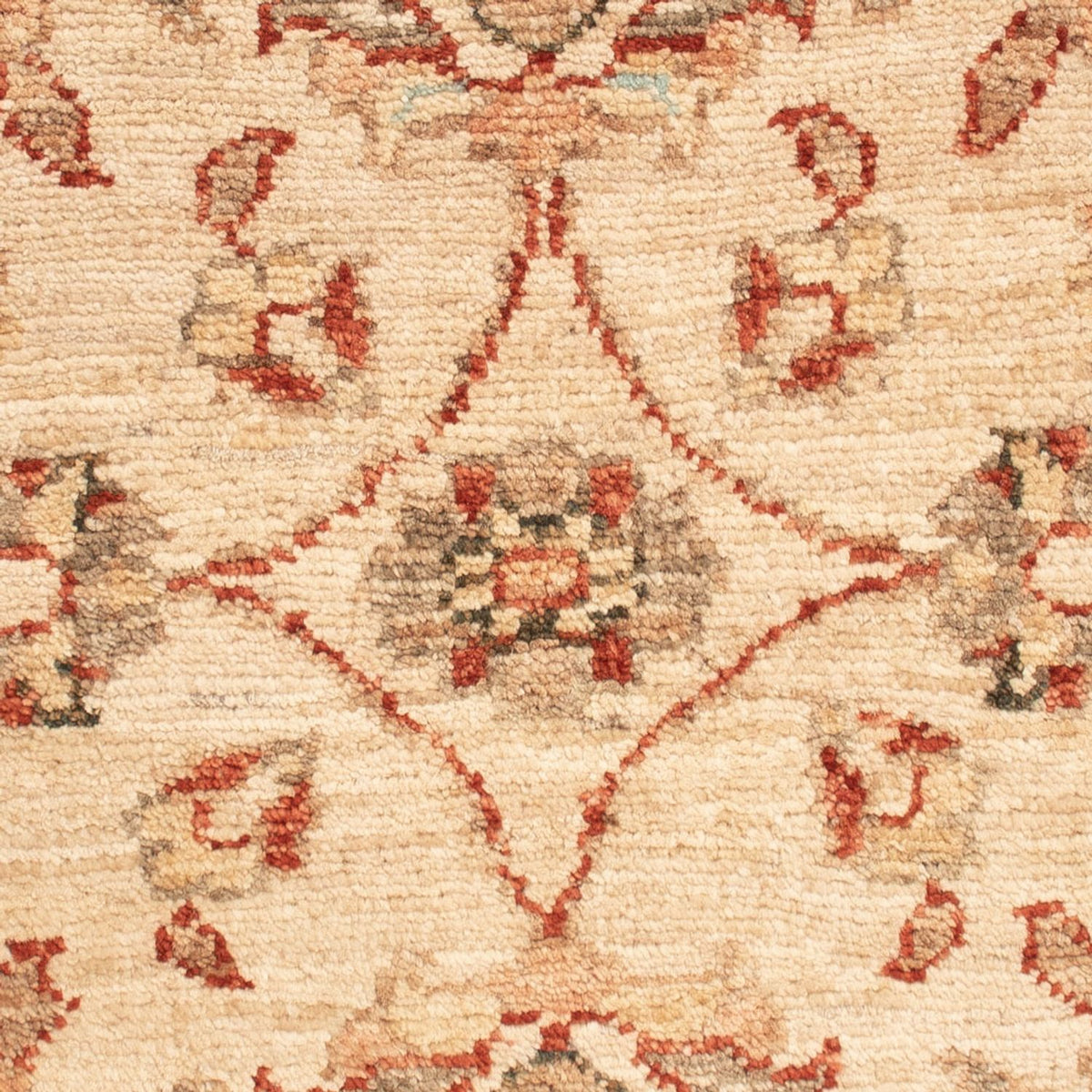 Alfombra Ziegler - 65 x 51 cm - beige