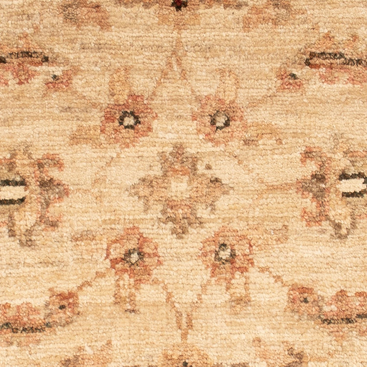 Alfombra Ziegler - 62 x 50 cm - beige