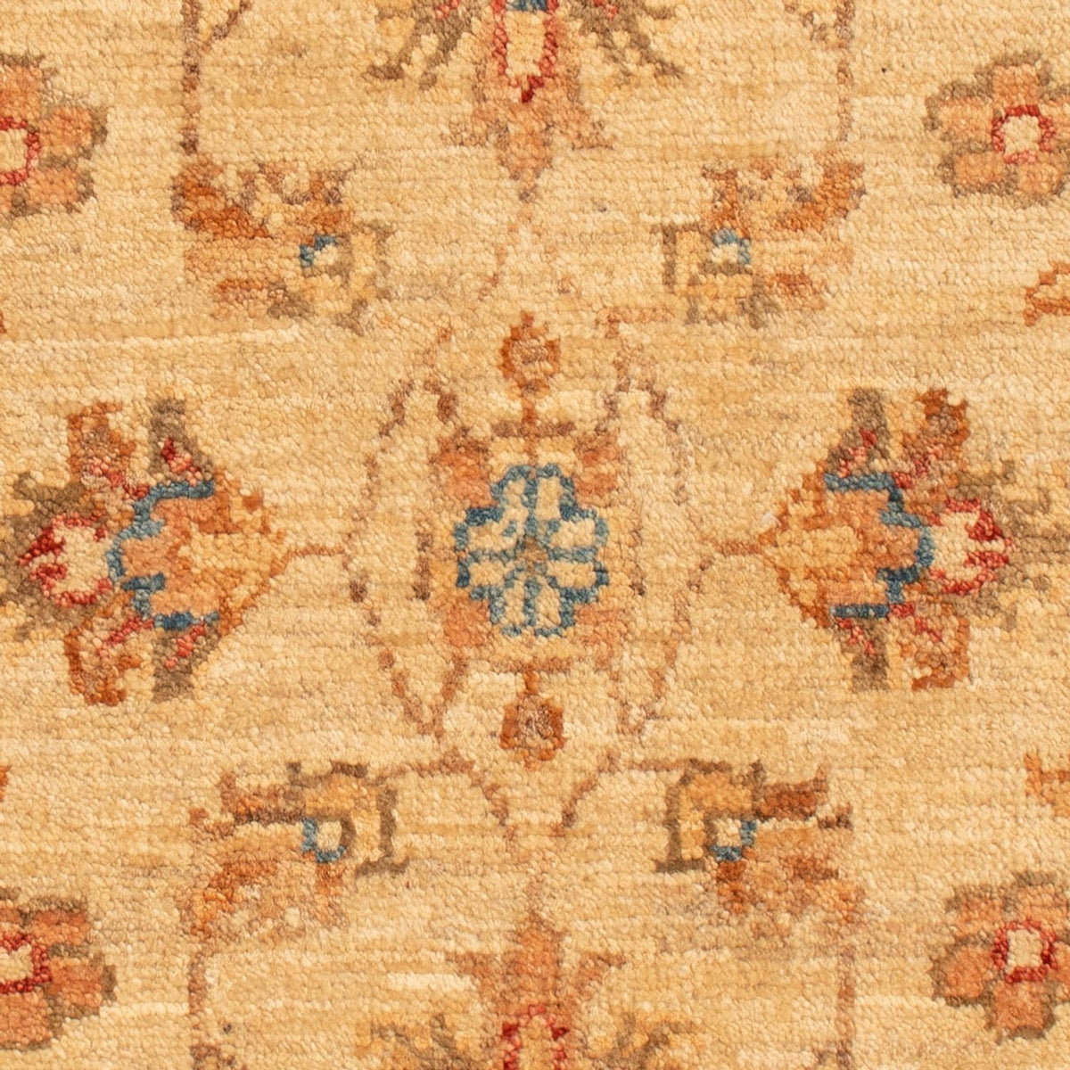 Alfombra Ziegler - 70 x 52 cm - beige