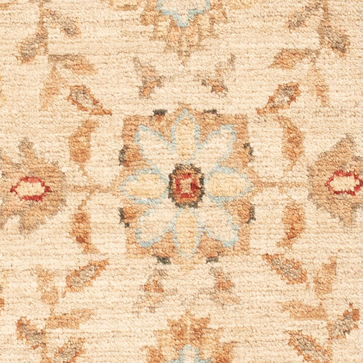 Alfombra Ziegler - 70 x 53 cm - beige