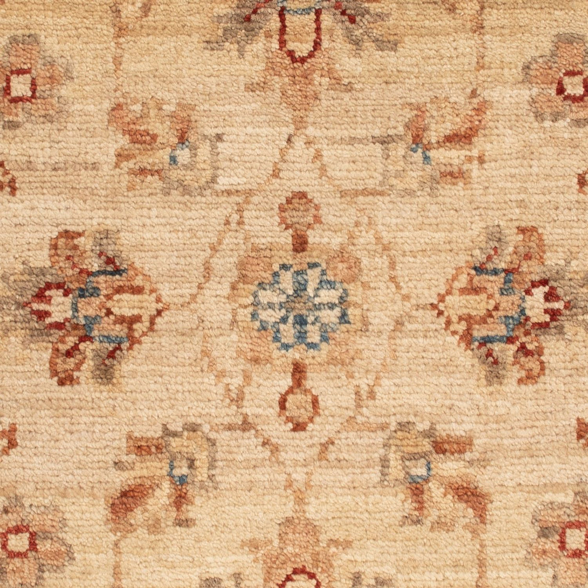 Alfombra Ziegler - 69 x 55 cm - beige