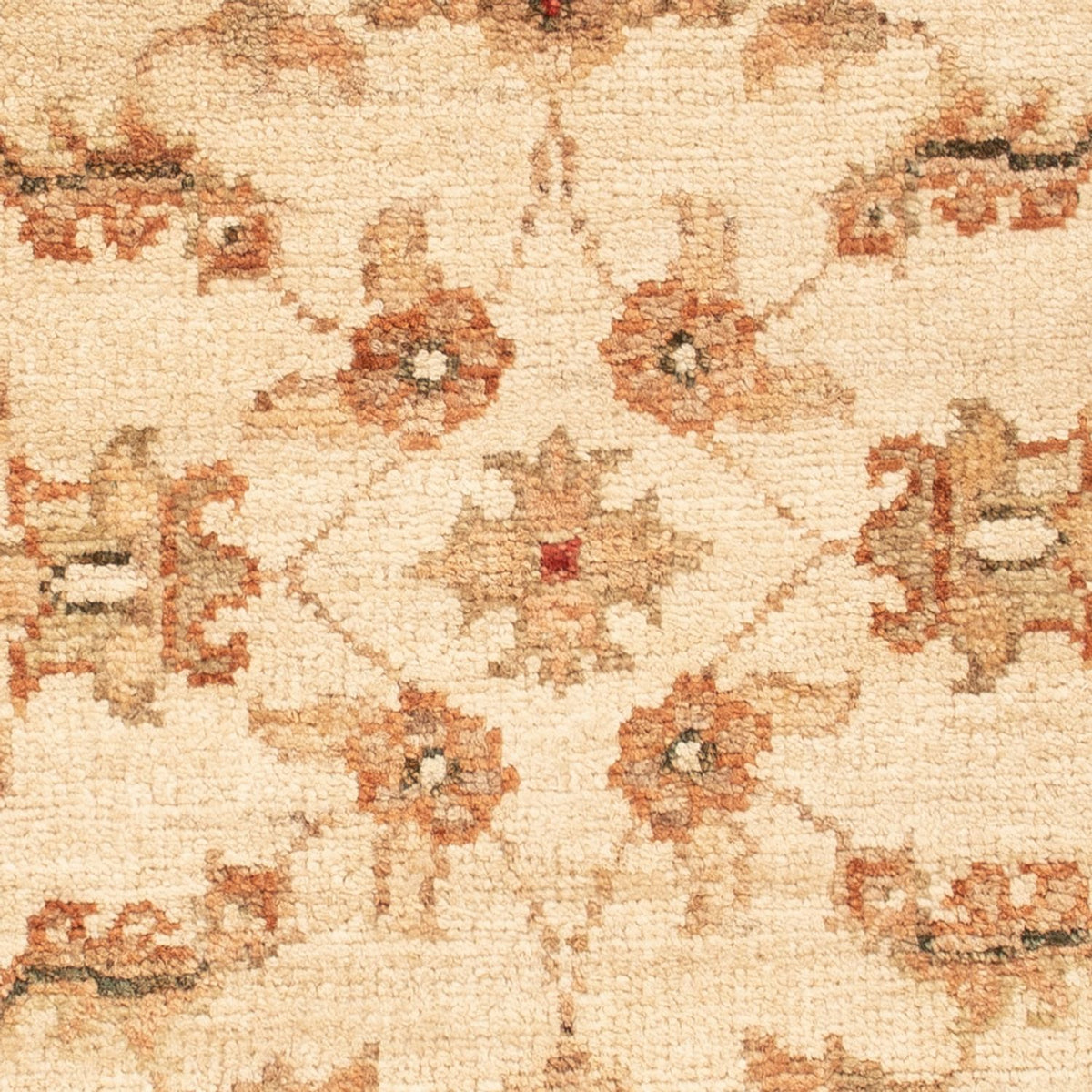 Alfombra Ziegler - 70 x 51 cm - beige