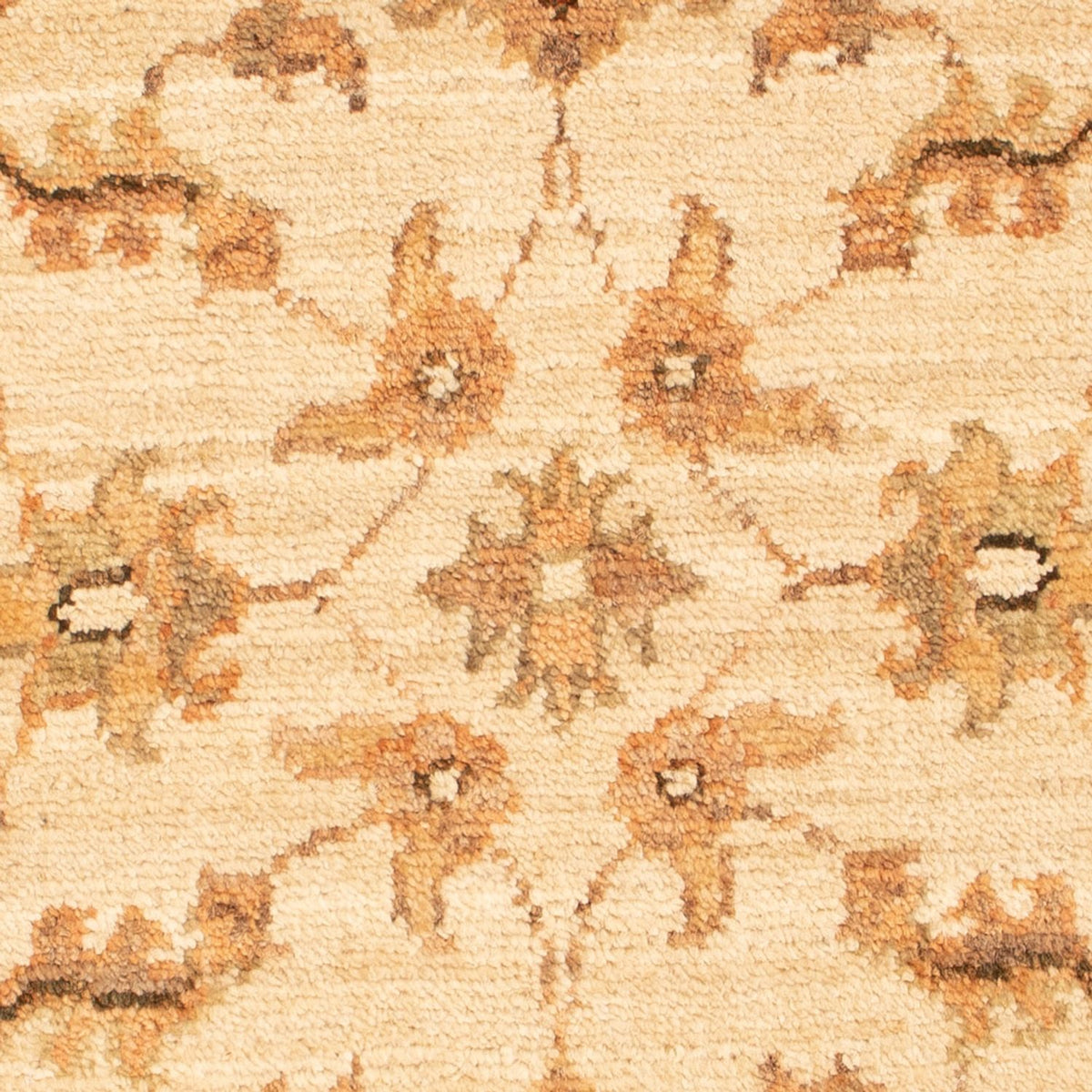 Alfombra Ziegler - 70 x 50 cm - beige
