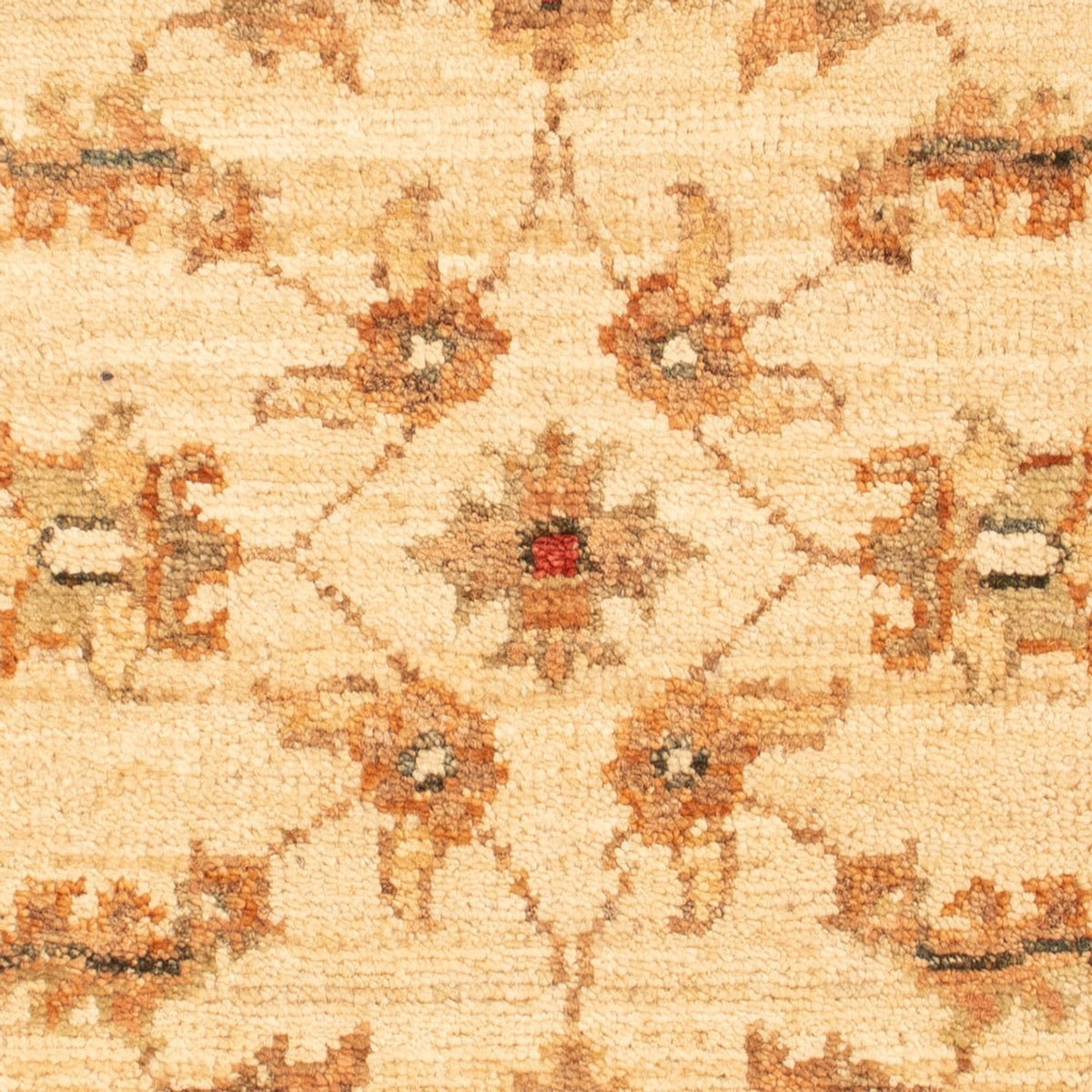 Alfombra Ziegler - 67 x 50 cm - beige