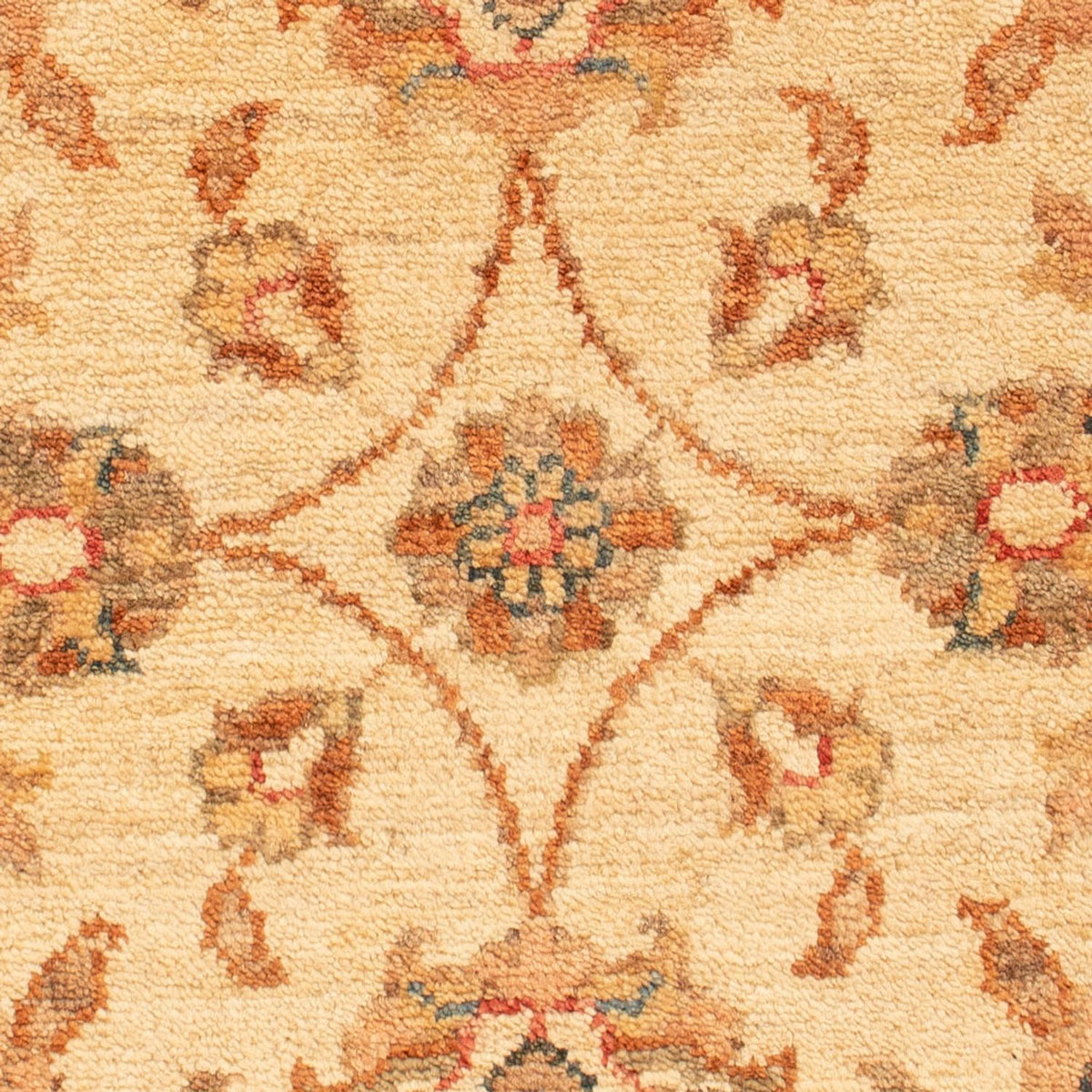 Alfombra Ziegler - 70 x 51 cm - beige