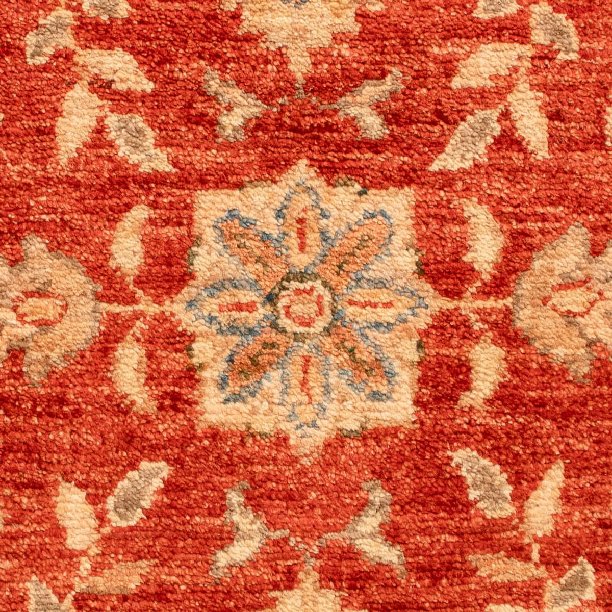 Alfombra Ziegler - 70 x 50 cm - rojo