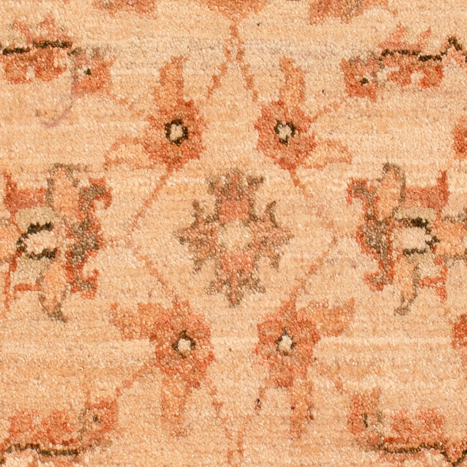 Alfombra Ziegler - 73 x 56 cm - beige