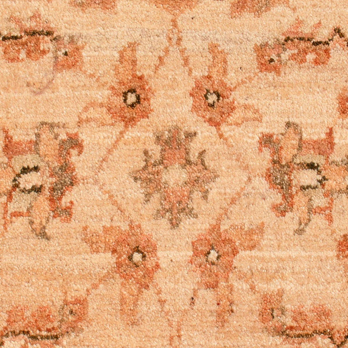 Alfombra Ziegler - 73 x 56 cm - beige