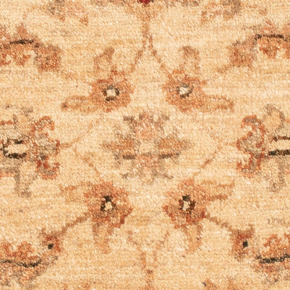 Alfombra Ziegler - 66 x 51 cm - beige