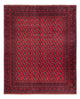 Akhche Alfombra 302x245cm - Alfombra oriental