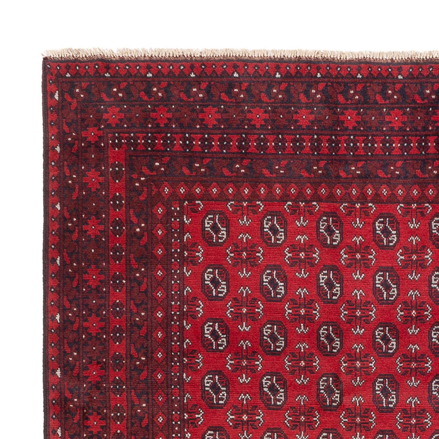 Akhche Alfombra 302x245cm - Alfombra oriental