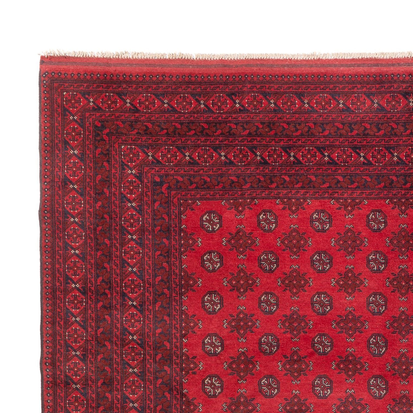 Akhche Alfombra 404x304cm - Alfombra oriental