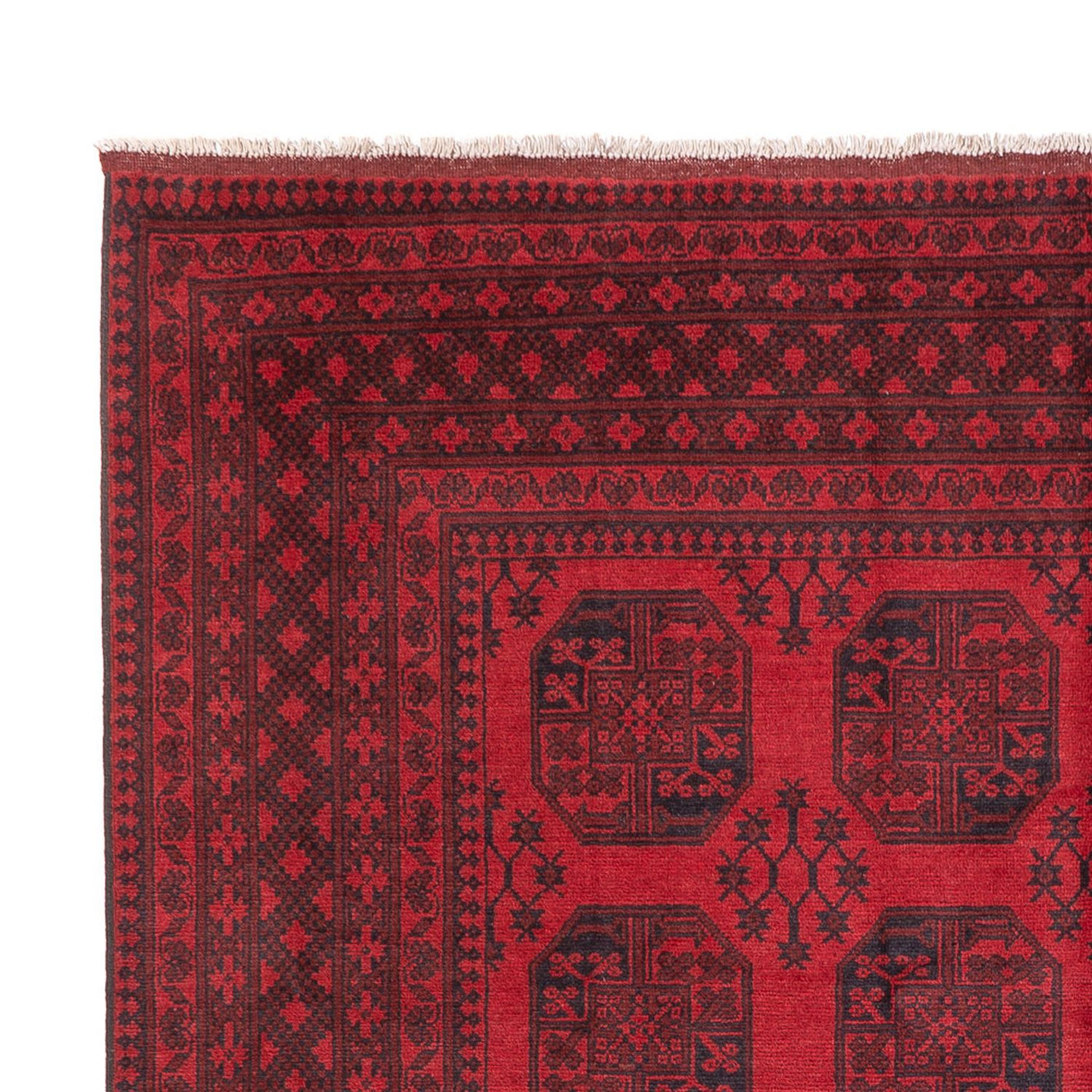 Akhche Alfombra 346x246cm - Alfombra oriental