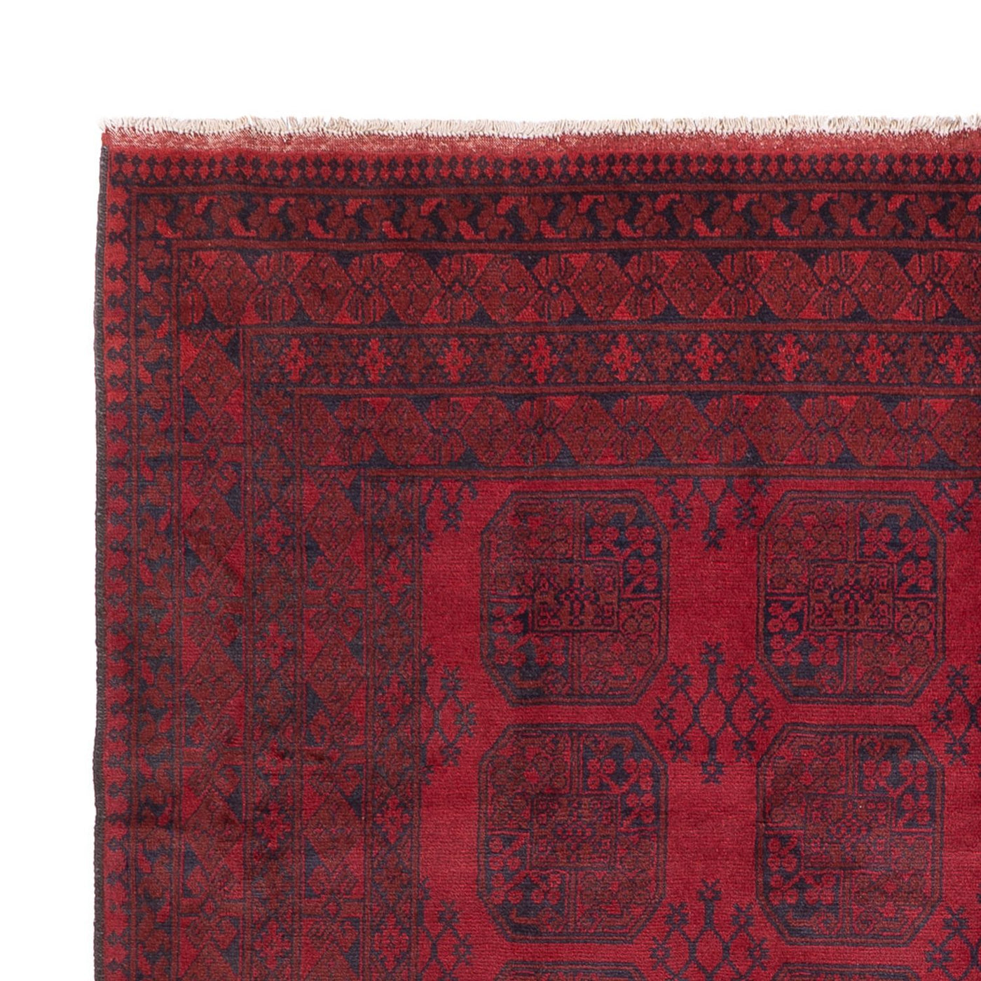 Akhche Alfombra 343x252cm - Alfombra oriental