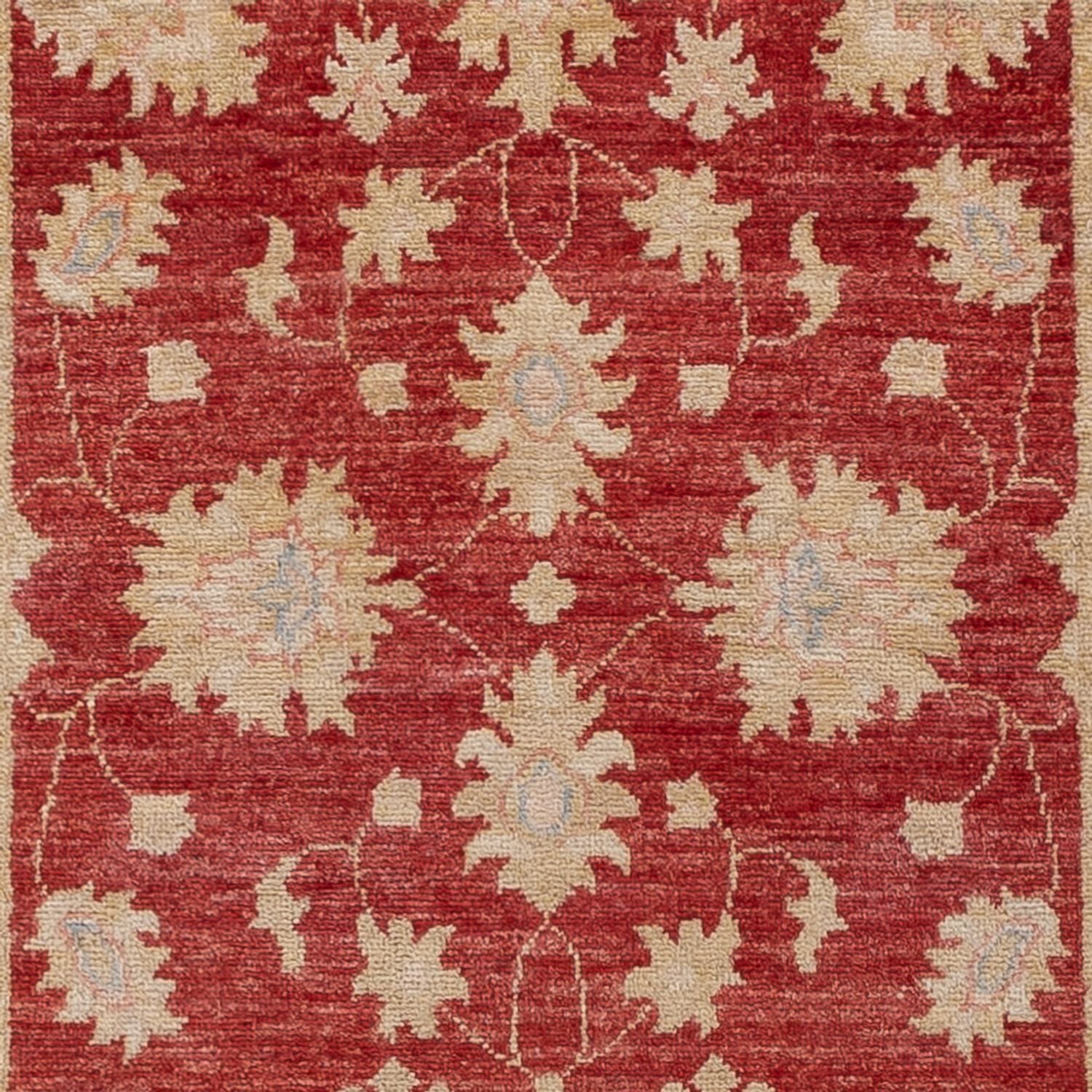 Alfombra de pasillo Alfombra Ziegler - 256 x 81 cm - rojo