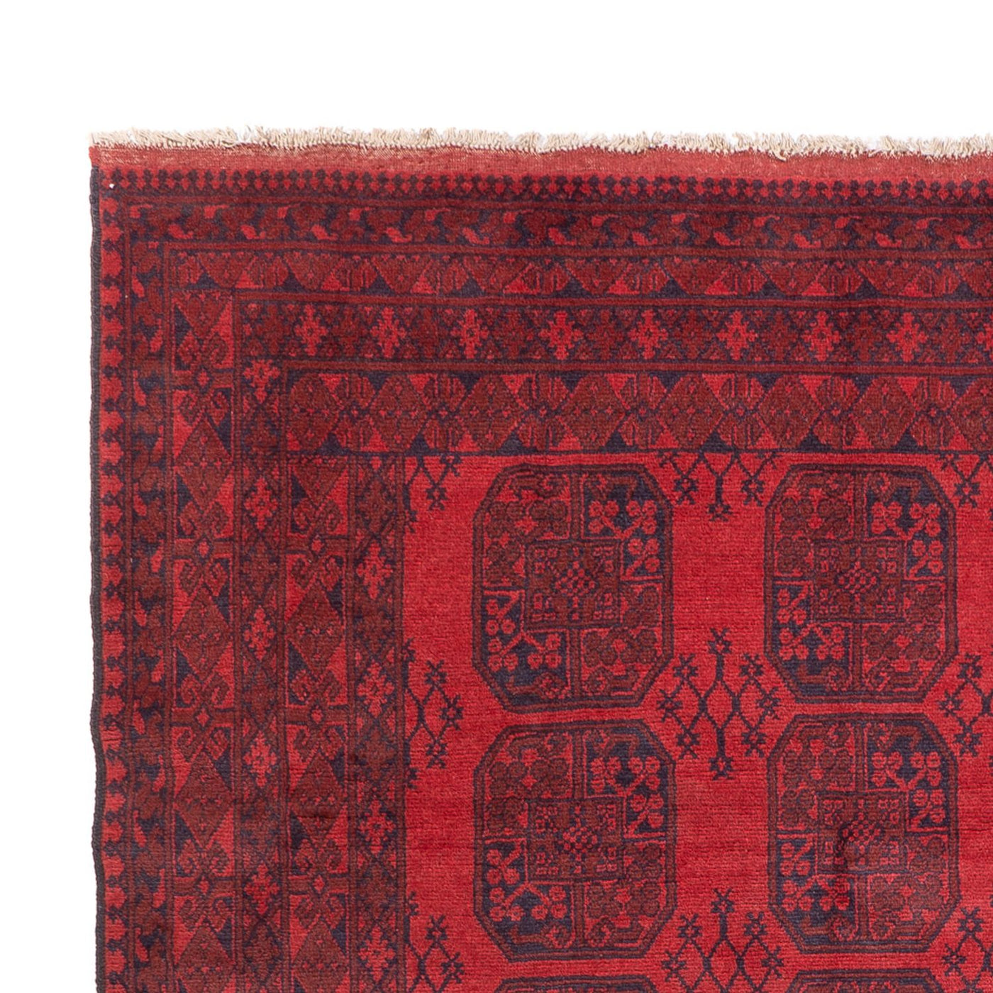 Akhche Alfombra 350x253cm - Alfombra oriental