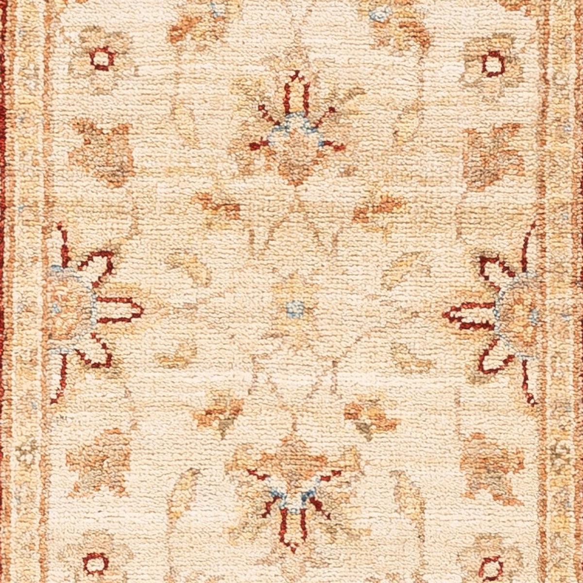 Alfombra de pasillo Alfombra Ziegler - 146 x 54 cm - beige
