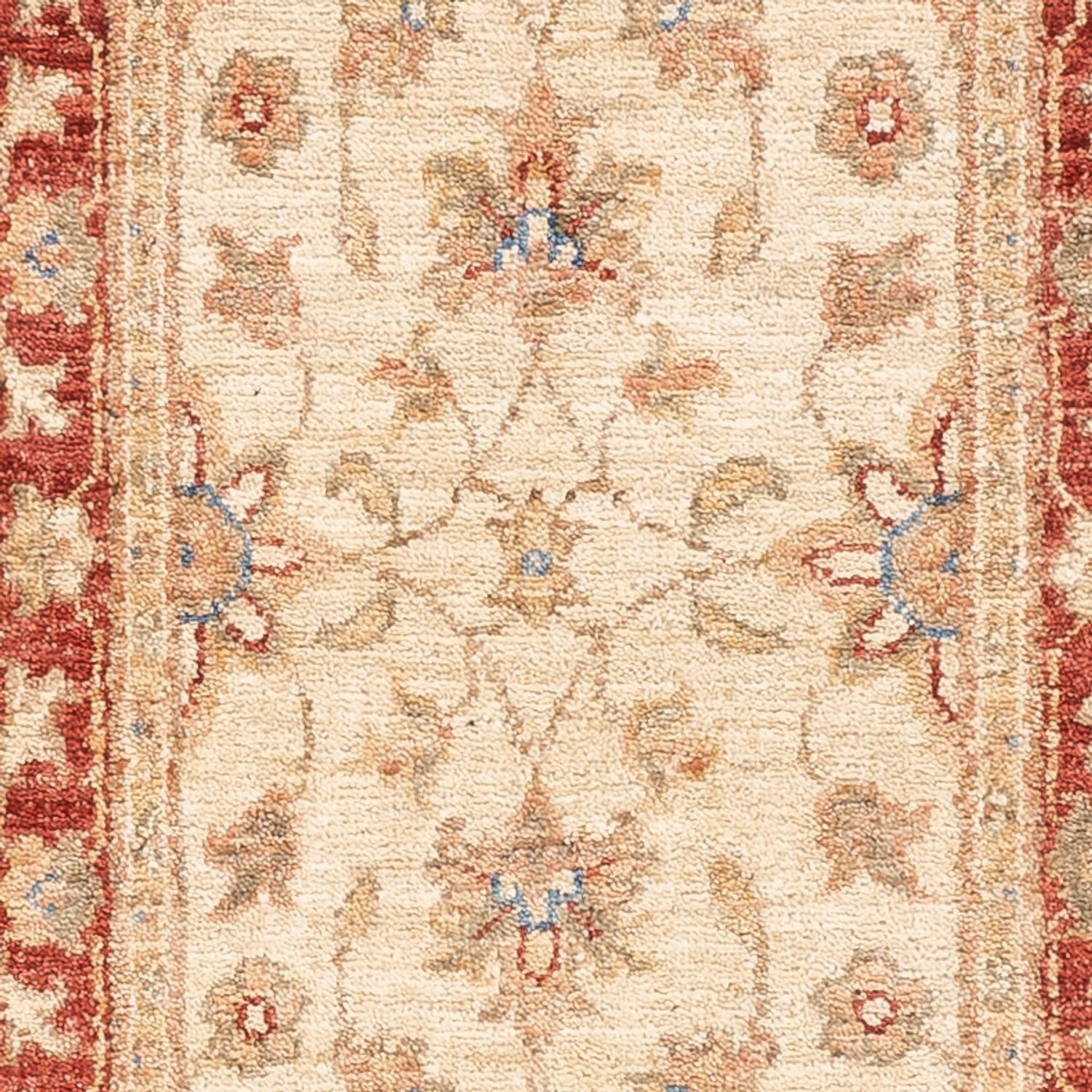 Alfombra de pasillo Alfombra Ziegler - 157 x 49 cm - beige