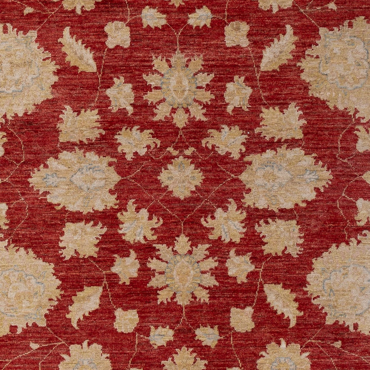 Alfombra Ziegler - 295 x 201 cm - rojo oscuro